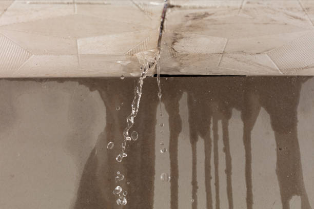 Professional Sewage Cleanup technician working in Mattapan, MA